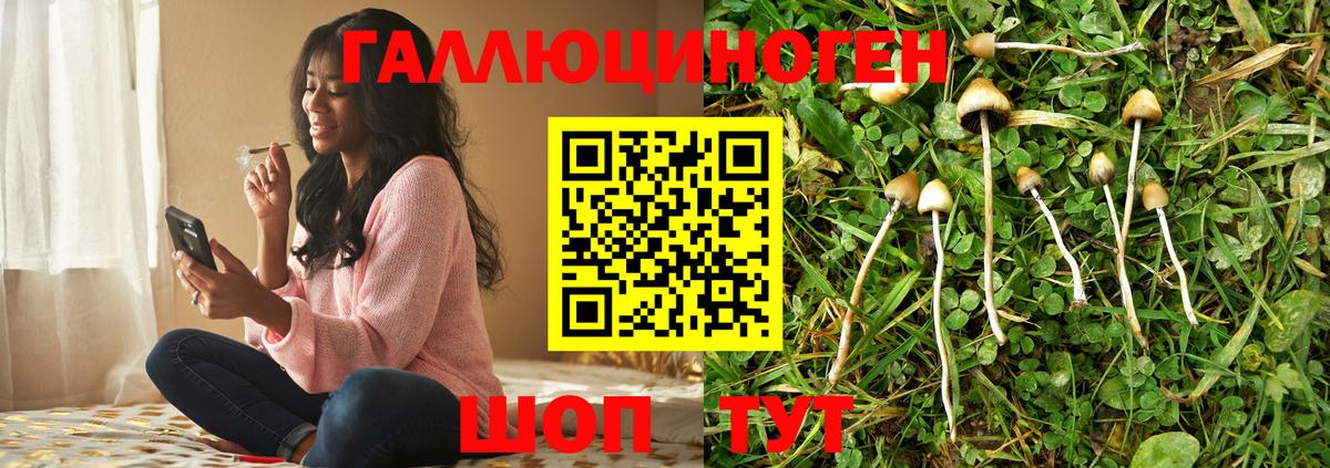 Галлюциногенные грибы GOLDEN TEACHER  Вход с VPN  Минеральные Воды 