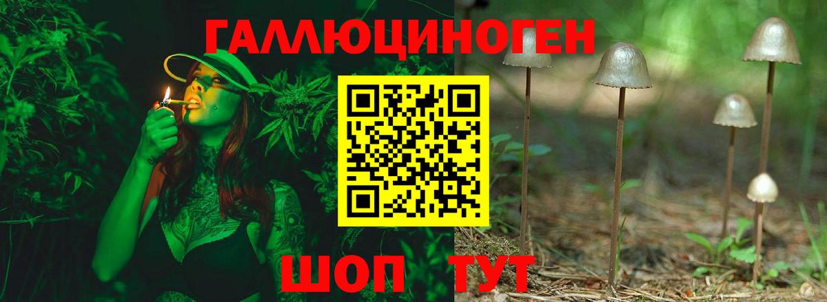 Псилоцибиновые грибы мицелий Минеральные Воды